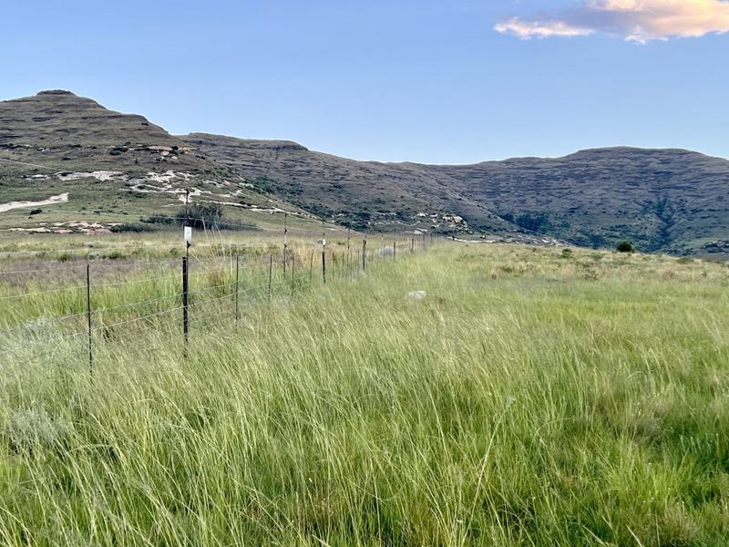 0 Bedroom Property for Sale in Fouriesburg Free State